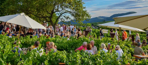 Ilbesheimer Kalmitfest